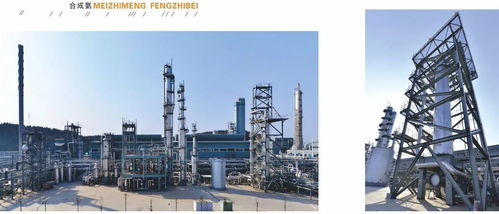 中國化工報聚焦四川美豐，一項關鍵工藝通過科技成果鑒定